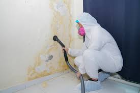 Why you should choose our mold remedi tion services in #city